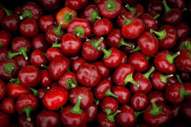 Pimento Pepper Seeds | Heirloom - Non-GMO | 25-2,500 Seeds | Sweet & Mild | Heart-Shaped Peppers | USDA Zones 4-10 |